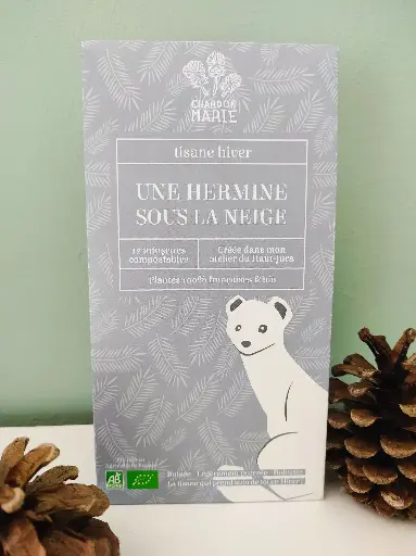 Une Hermine sous la neige - hiver